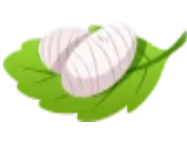 logo icon